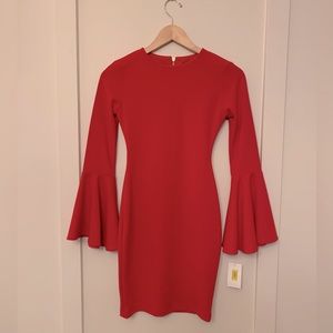 Red BodyCon dress with Bell Sleeves